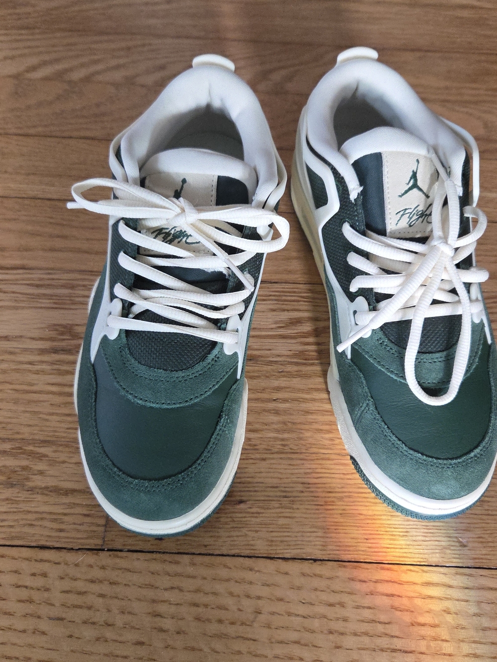 Nike Air Jordan Low Top Sneakers in Green and White